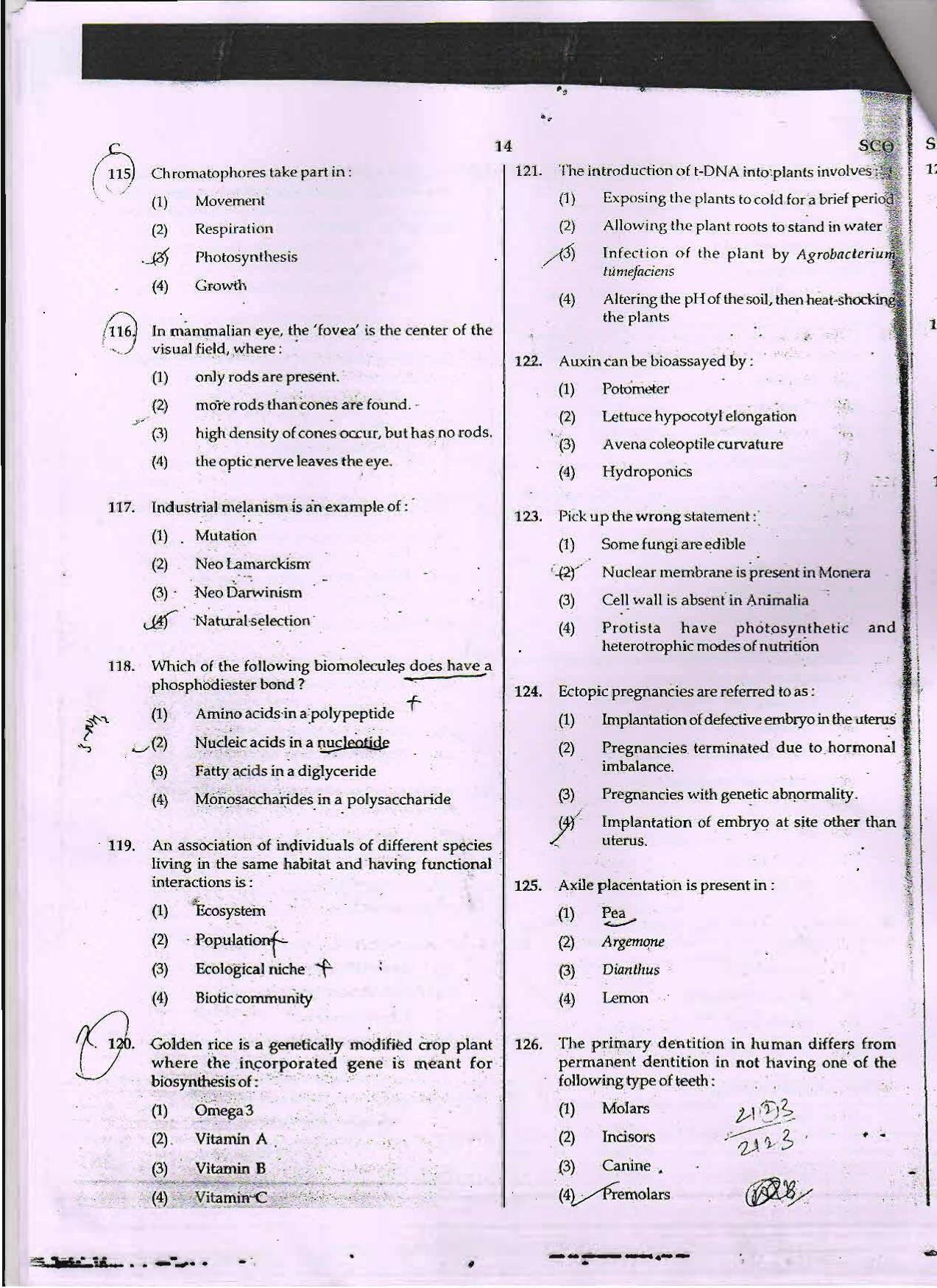 NEET Code C 2015 Question Paper - Page 14