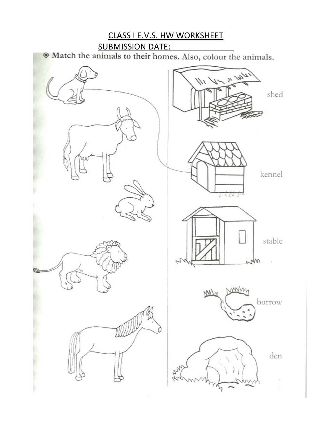 Worksheet for Class 1 EVS Animal Homes Assignment - Page 1
