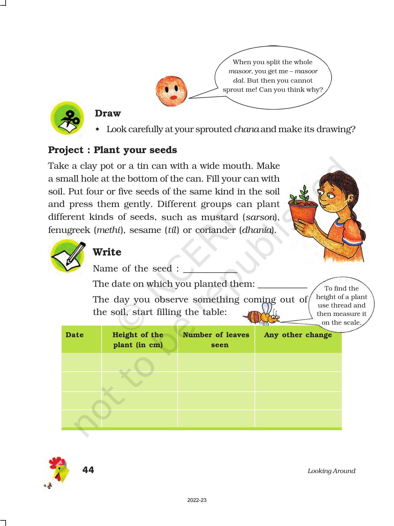 NCERT Book for Class 5 EVS Chapter 5 Seeds and Seeds - Page 3