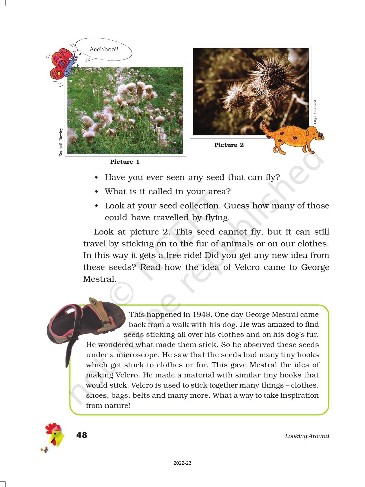 NCERT Book for Class 5 EVS Chapter 5 Seeds and Seeds - Page 7