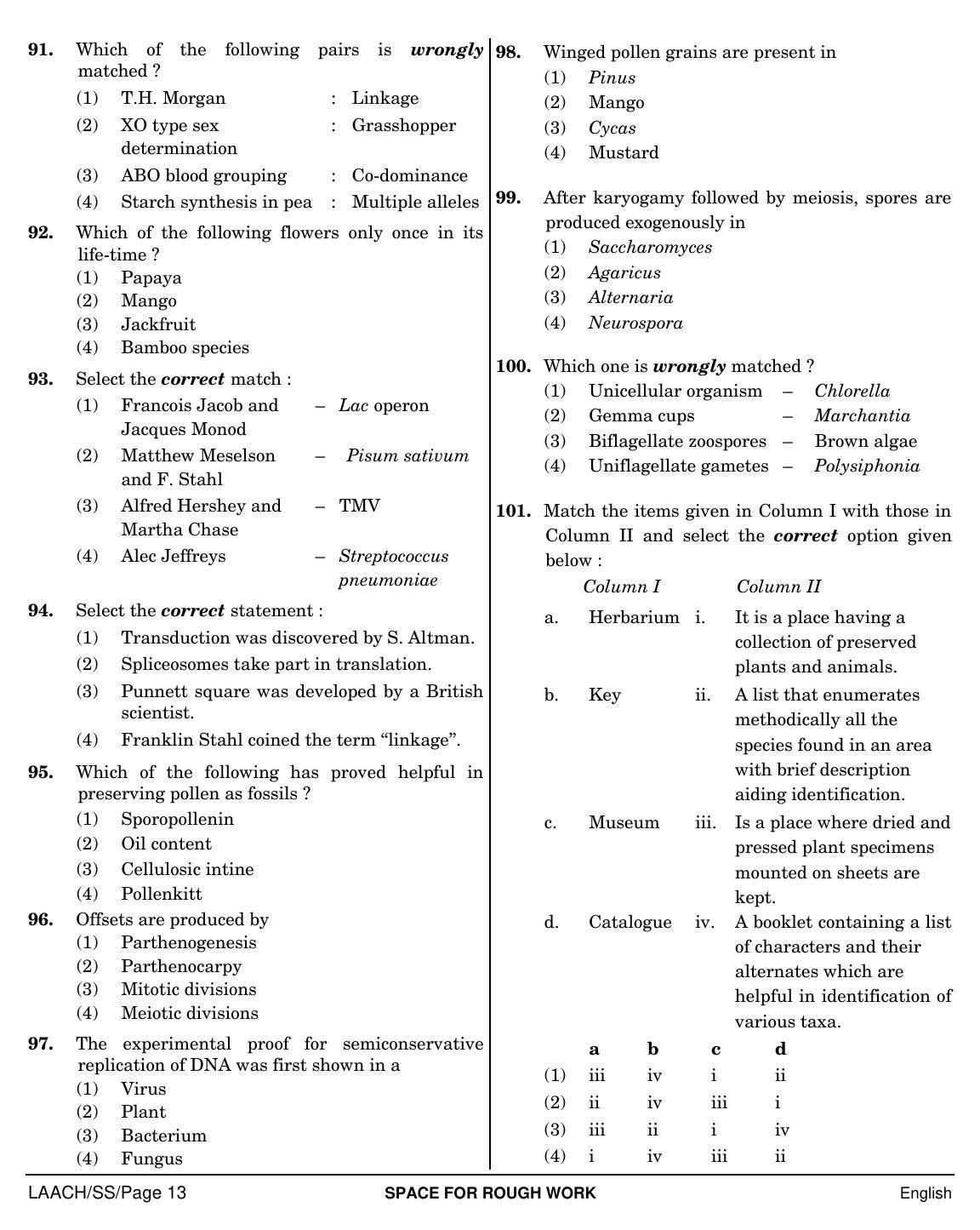 NEET English SS 2019 Question Paper - Page 13