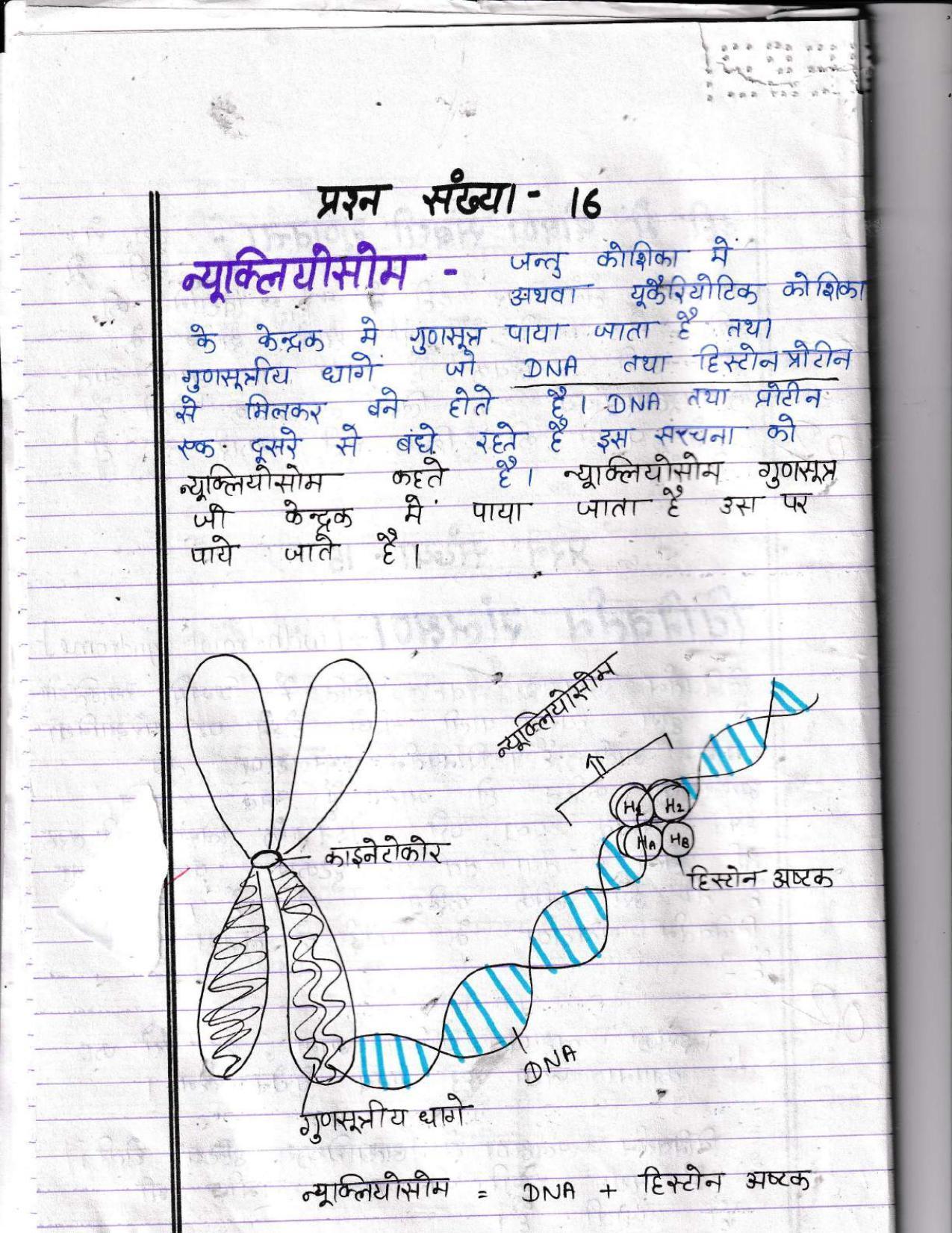 UBSE Class 12 Biology 2022 Toppers Answer Sheet - Page 9