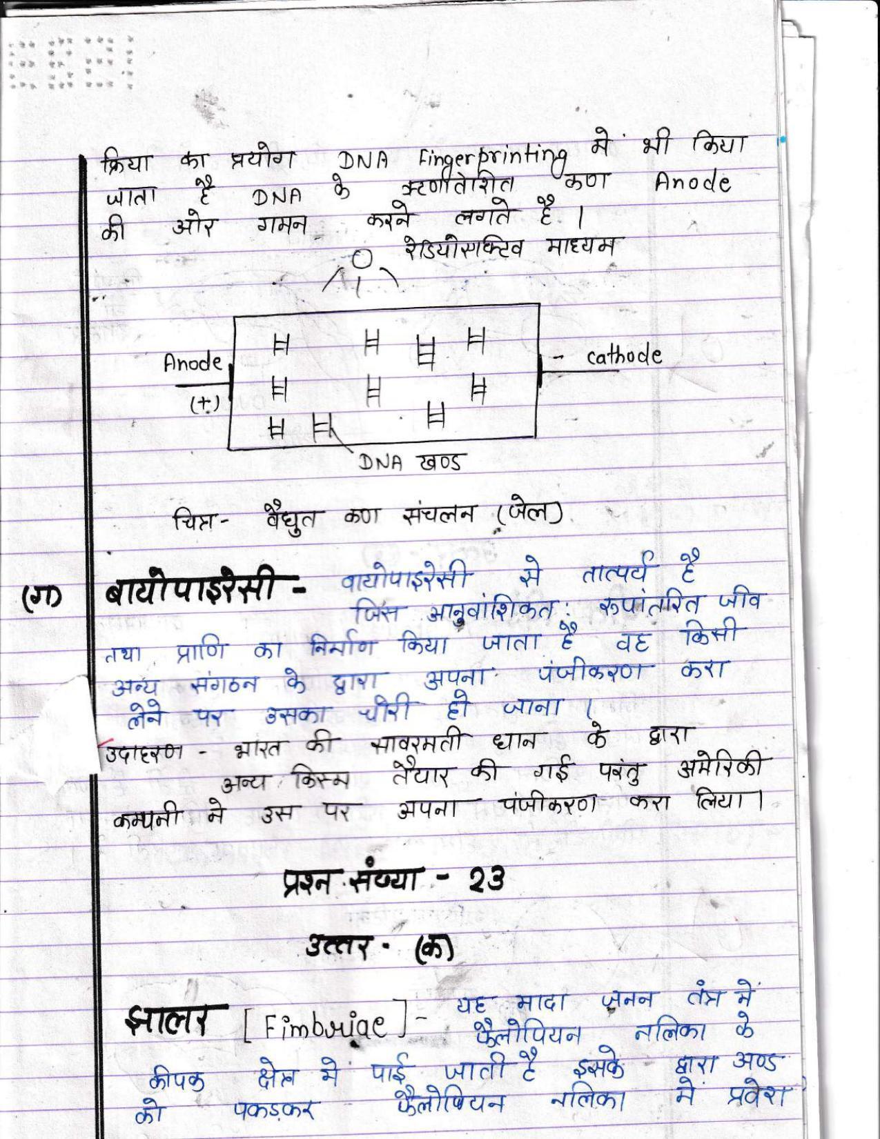 UBSE Class 12 Biology 2022 Toppers Answer Sheet - Page 16