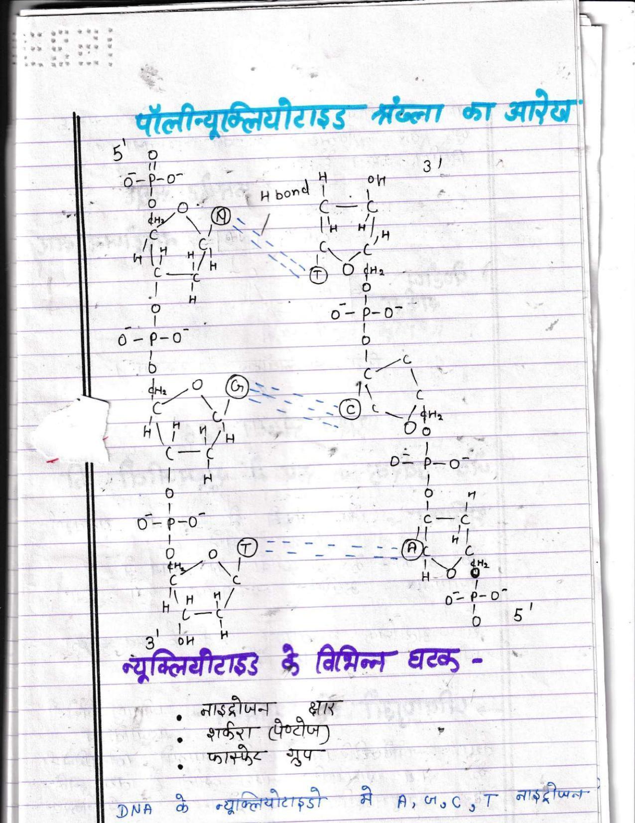 UBSE Class 12 Biology 2022 Toppers Answer Sheet - Page 20