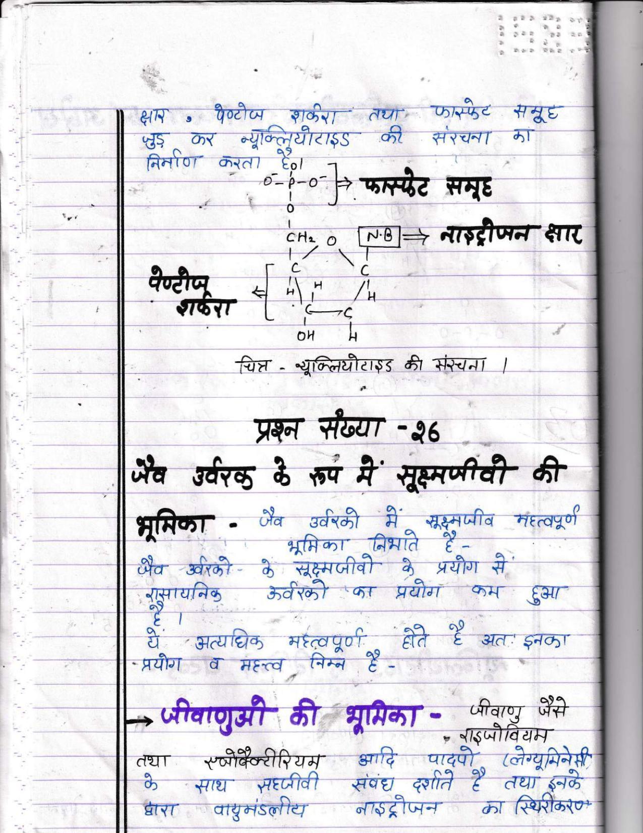 UBSE Class 12 Biology 2022 Toppers Answer Sheet - Page 21
