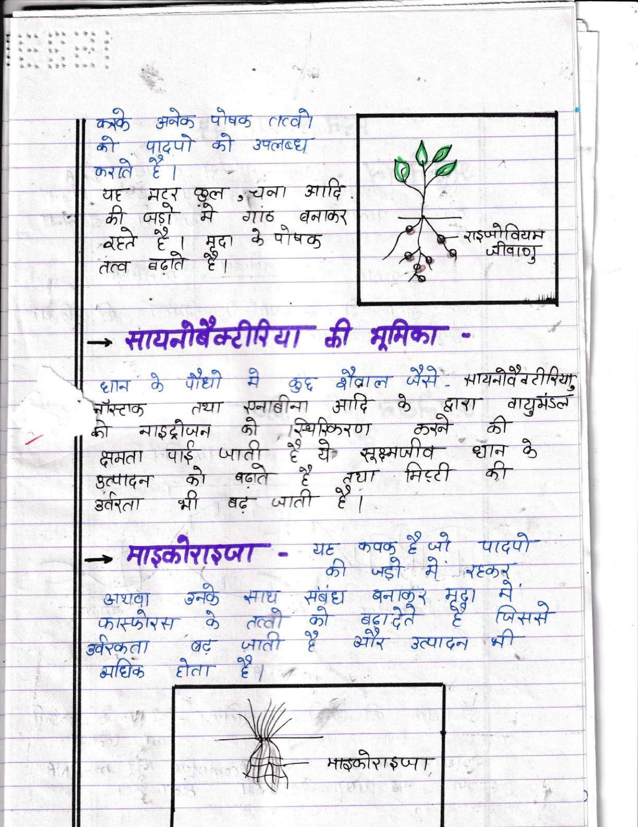 UBSE Class 12 Biology 2022 Toppers Answer Sheet - Page 22