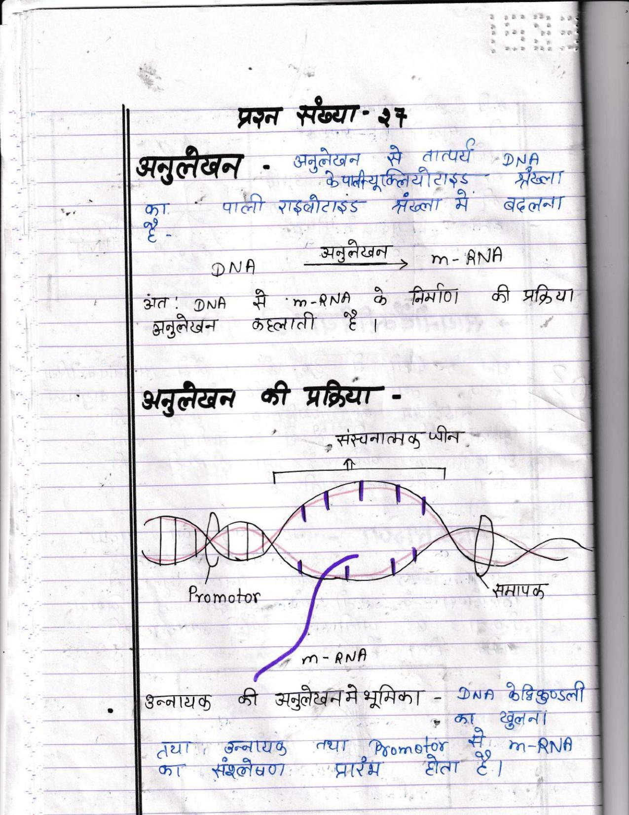 UBSE Class 12 Biology 2022 Toppers Answer Sheet - Page 23