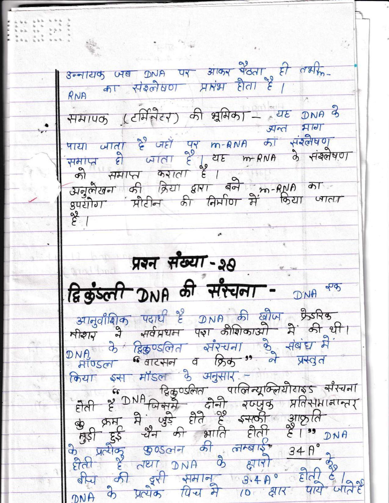 UBSE Class 12 Biology 2022 Toppers Answer Sheet - Page 24