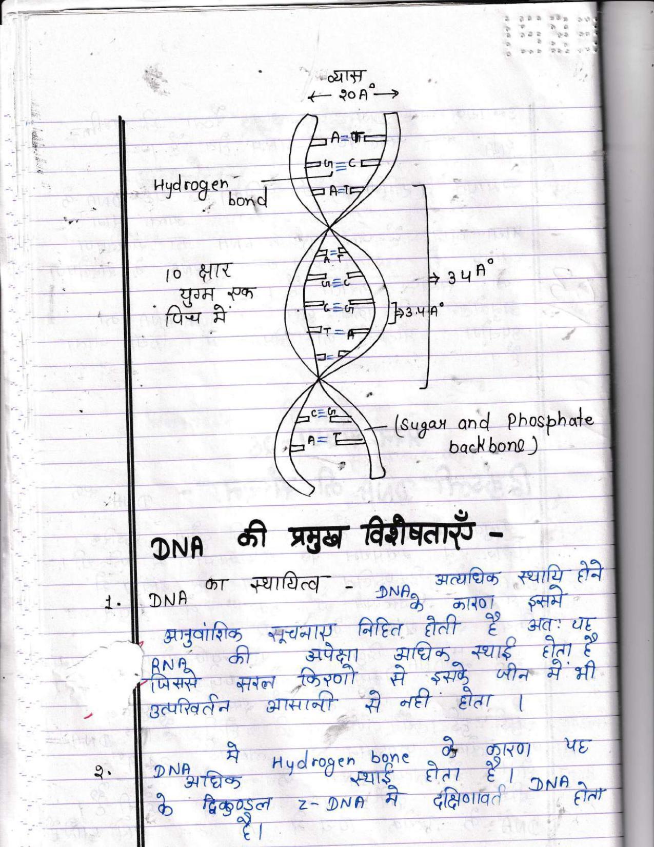 UBSE Class 12 Biology 2022 Toppers Answer Sheet - Page 25