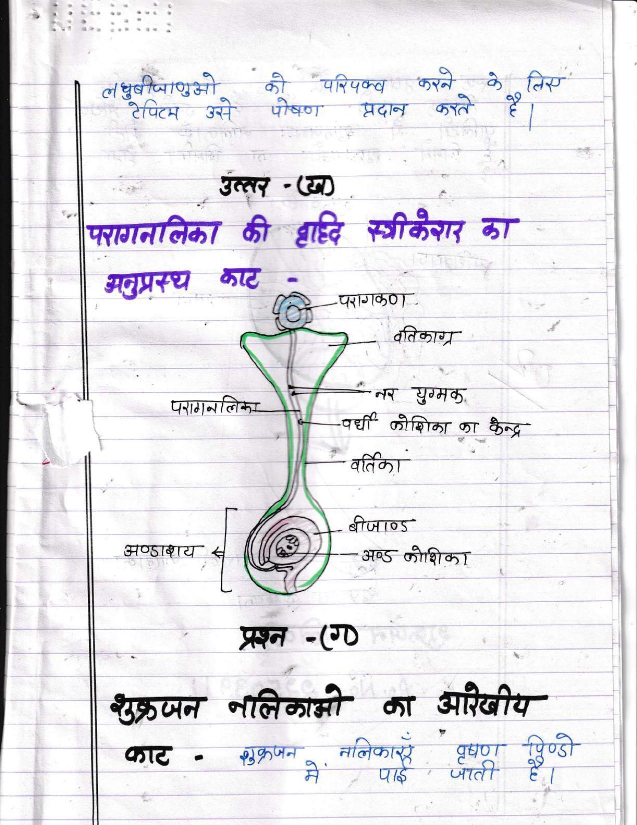 UBSE Class 12 Biology 2022 Toppers Answer Sheet - Page 28