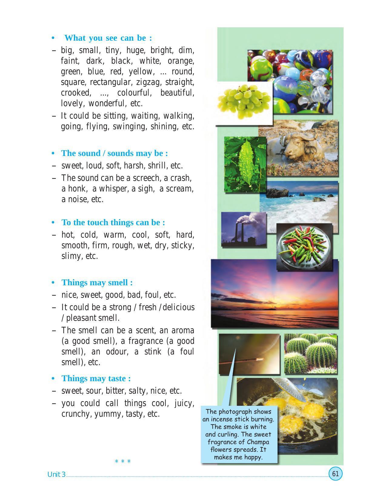 Maharashtra Board Class 5 English Textbook - Page 71