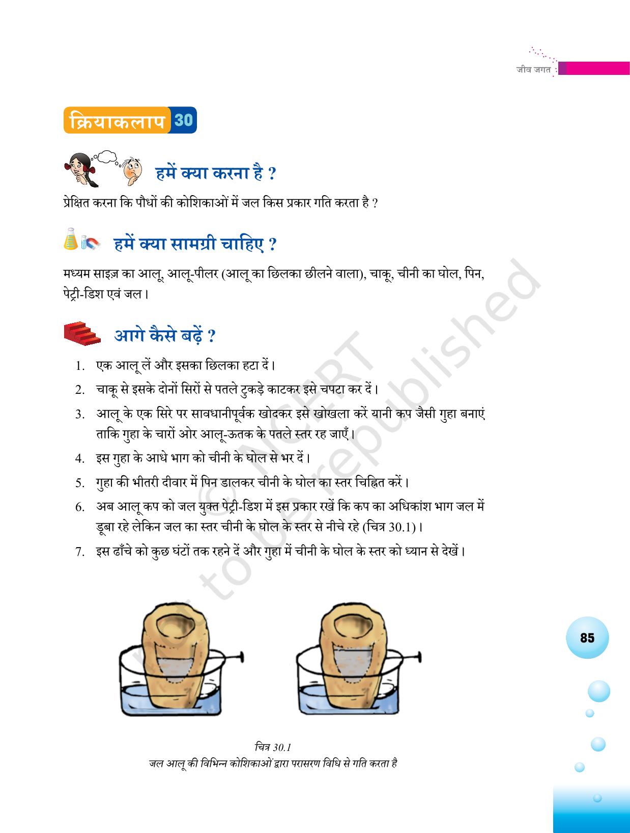 NCERT Laboratory Manuals for Class VI to VIII विज्ञान - थीम 3 - Page 17