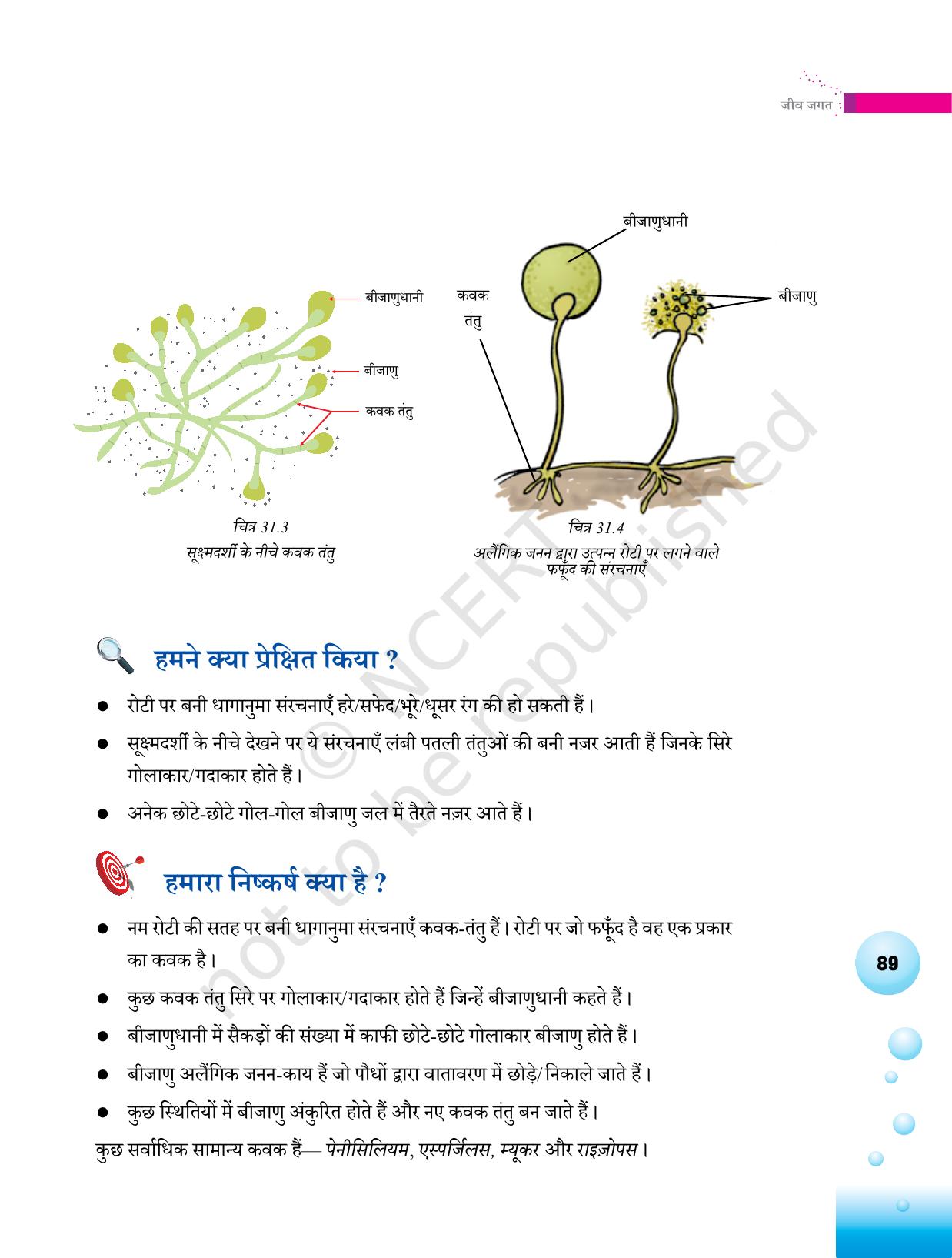 NCERT Laboratory Manuals for Class VI to VIII विज्ञान - थीम 3 - Page 21