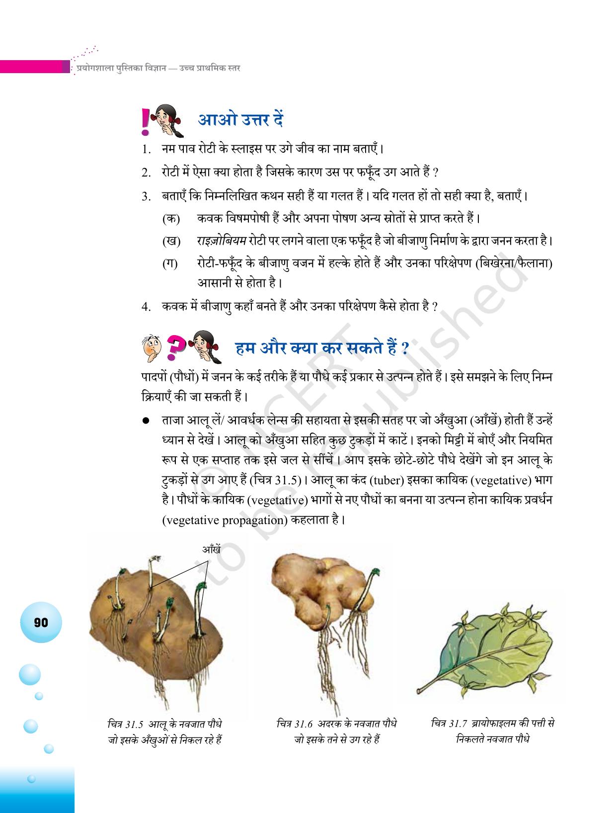 NCERT Laboratory Manuals for Class VI to VIII विज्ञान - थीम 3 - Page 22