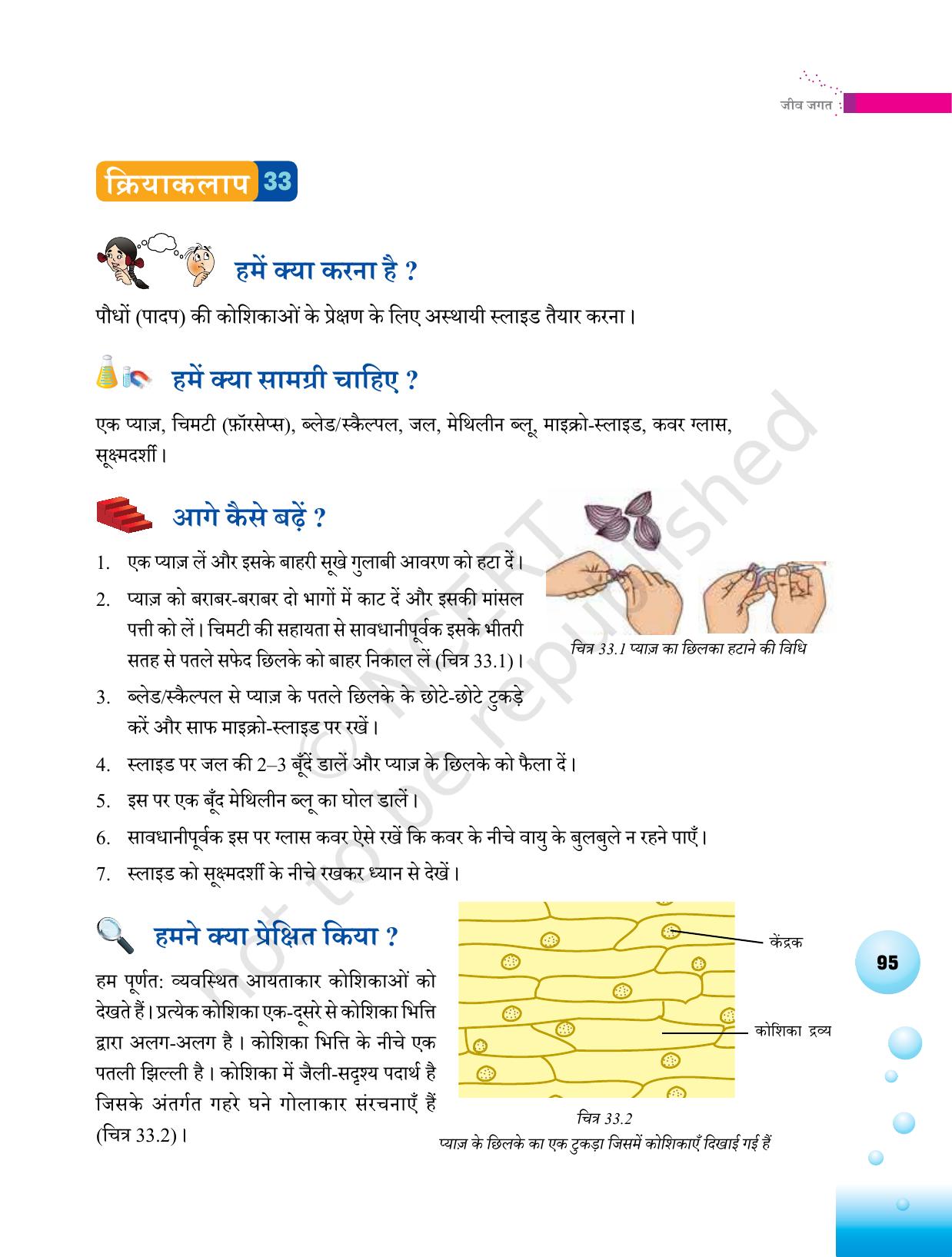NCERT Laboratory Manuals for Class VI to VIII विज्ञान - थीम 3 - Page 27