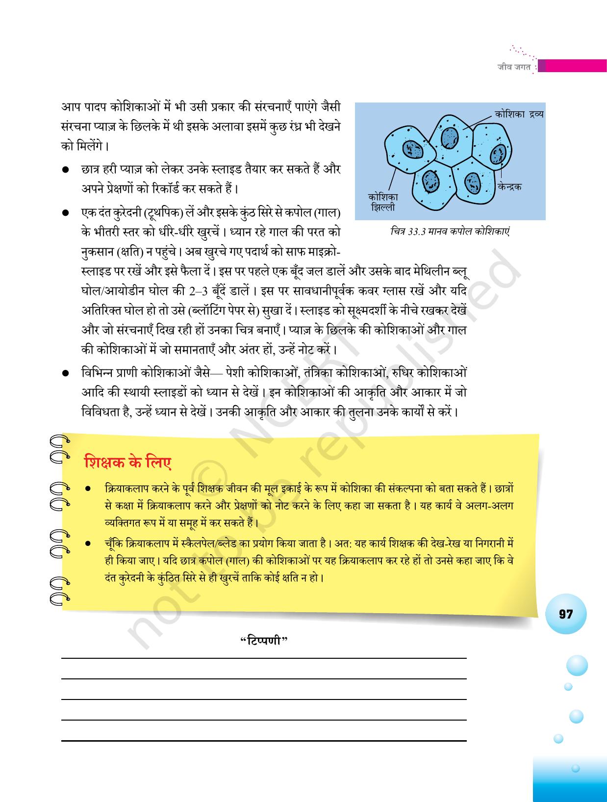 NCERT Laboratory Manuals for Class VI to VIII विज्ञान - थीम 3 - Page 29