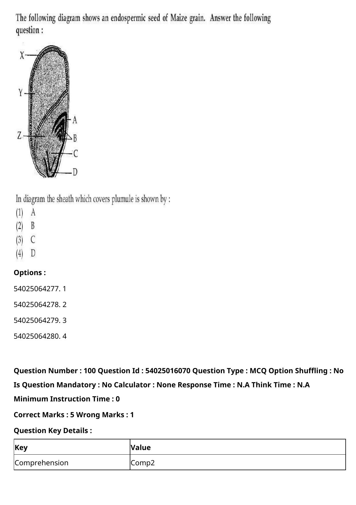 CUET 2023 International Shift 3 Question Papers - Page 124