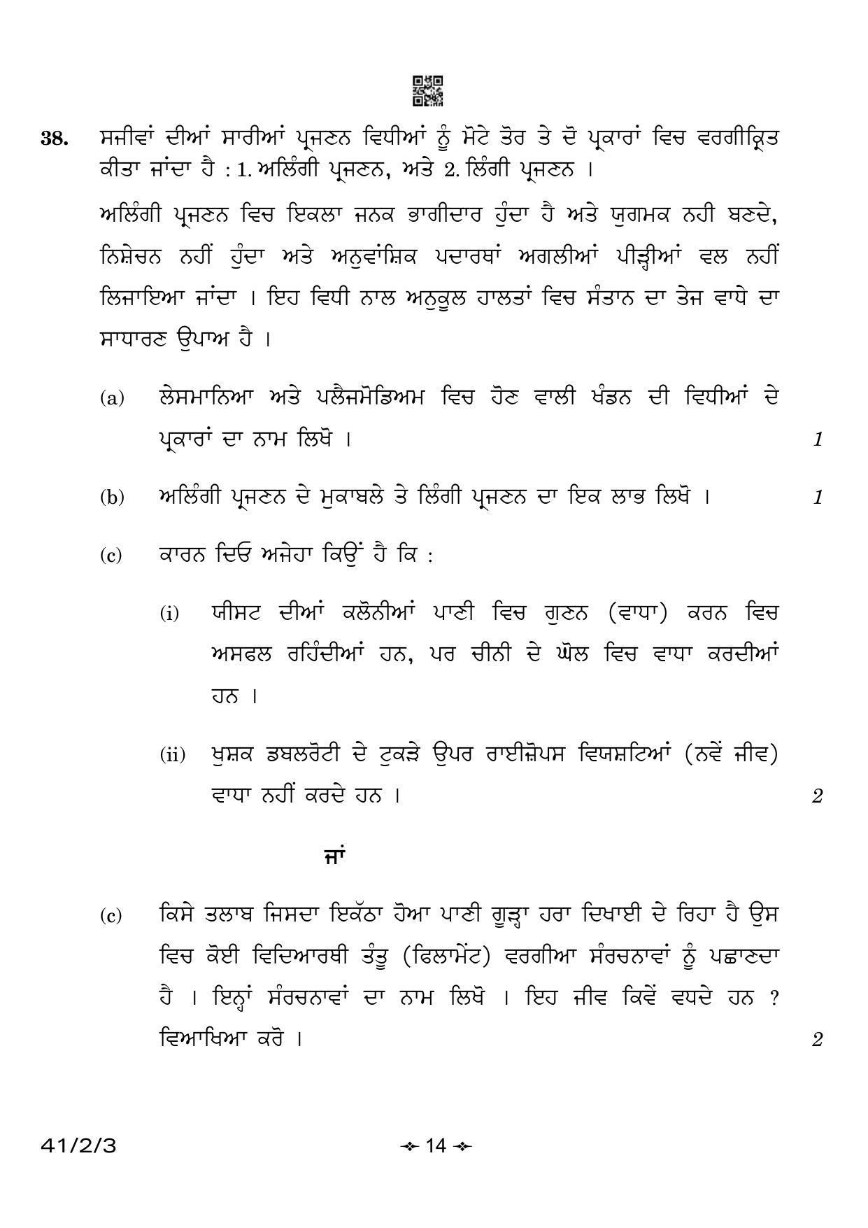 CBSE Class 10 41-2-3 Science Punjabi Version 2023 Question Paper - Page 14