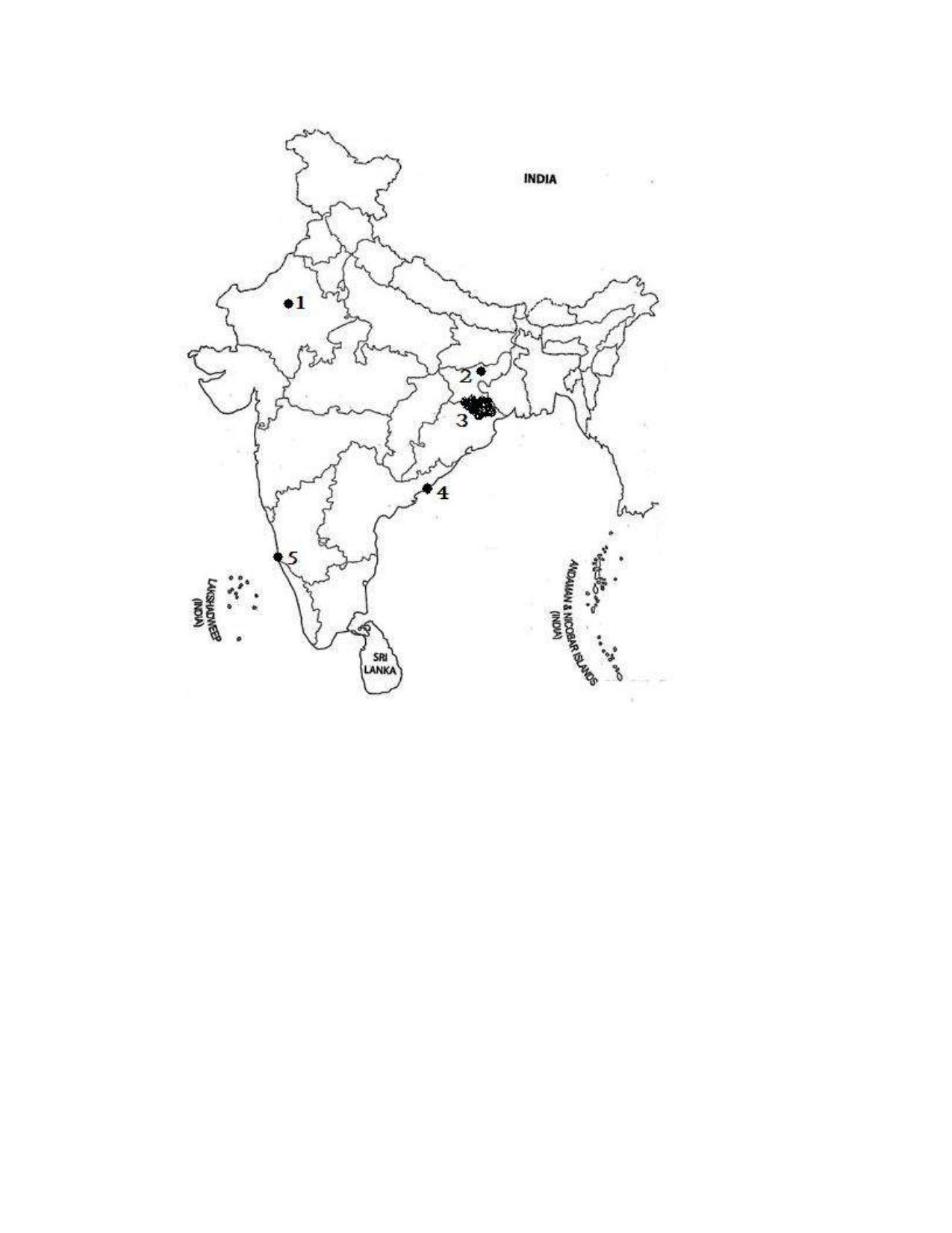 JAC 10th Social Science (Subjective) Model Question Paper 2023 - Page 3