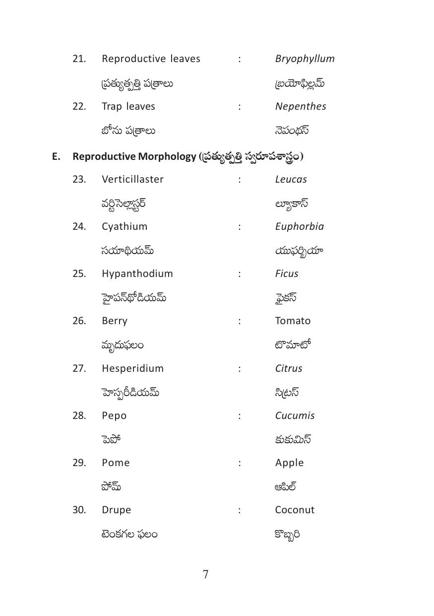 TS Intermediate Botany Practicals Model Question Paper - Page 7