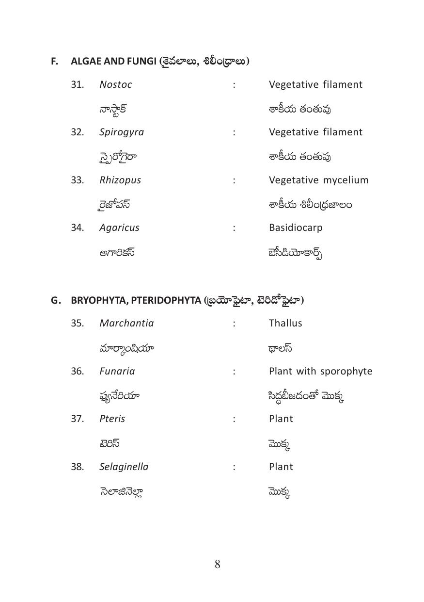 TS Intermediate Botany Practicals Model Question Paper - Page 8