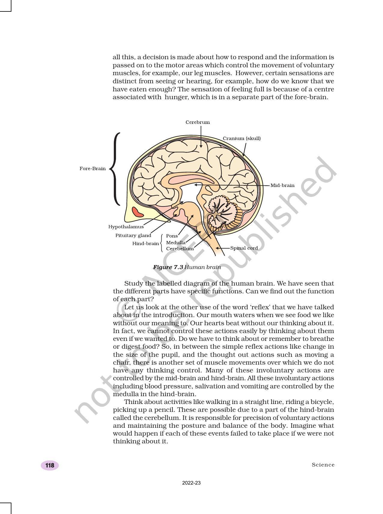 NCERT Book for Class 10 Science Chapter 7 Control and Coordination - Page 5