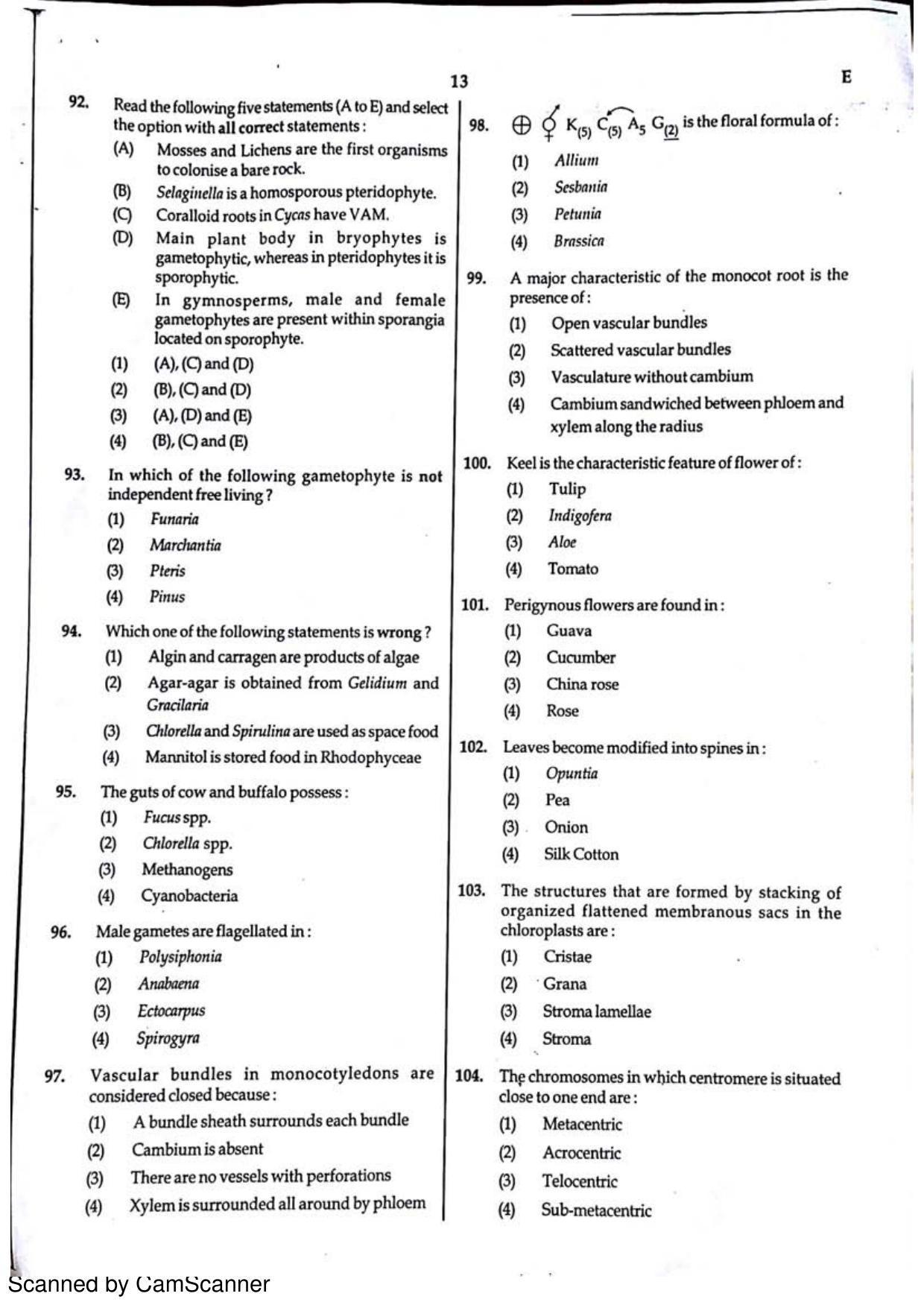 NEET Code E 2015 Question Paper - Page 13