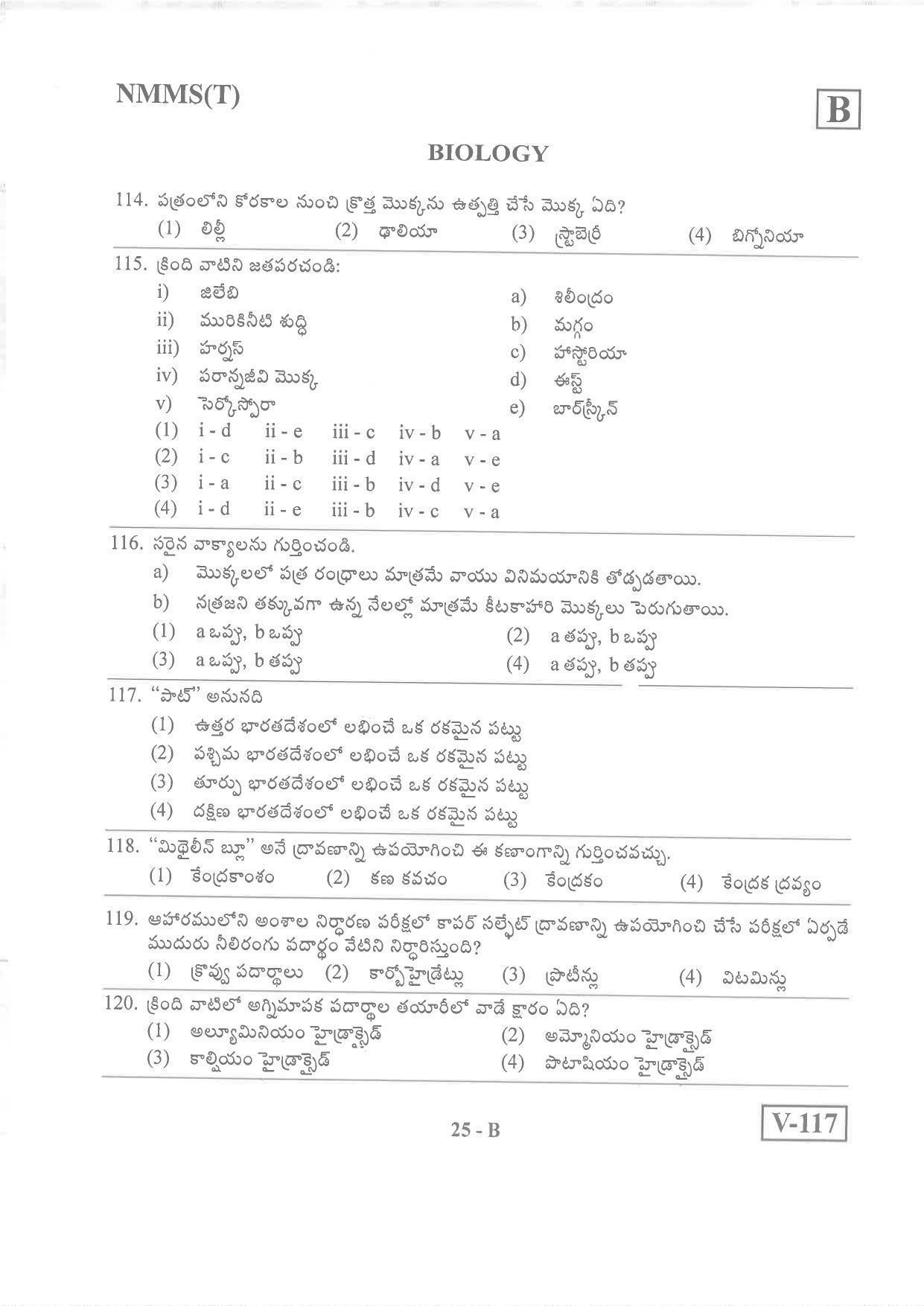Telugu Medium Nov 2019 (Set B) Class 8 Andhra Pradesh NMMS Question Papers - Page 25