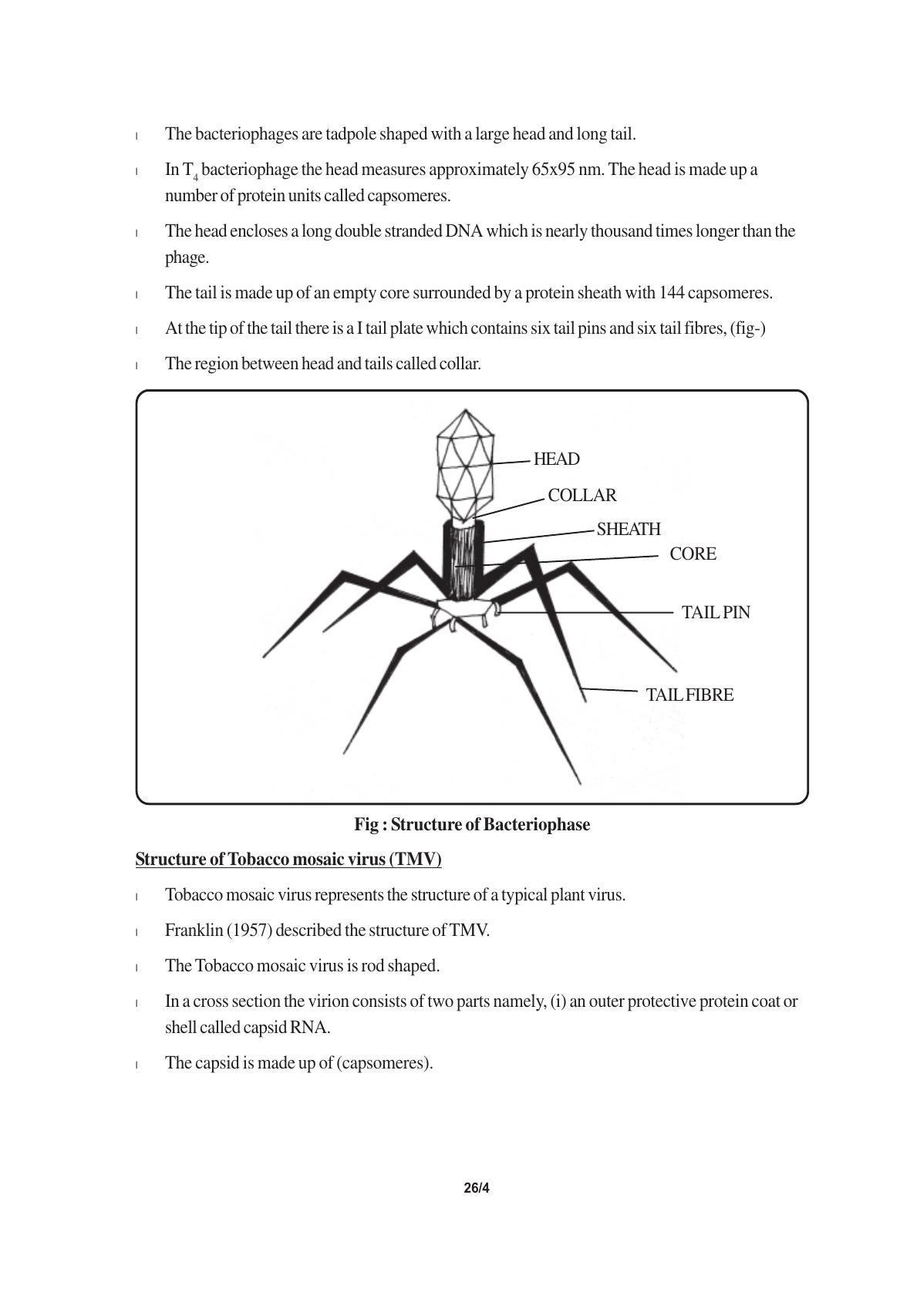 TS SCERT Inter 1st Year Biology Text Book Vol-I Path 1 (English Medium) Text Book - Page 46