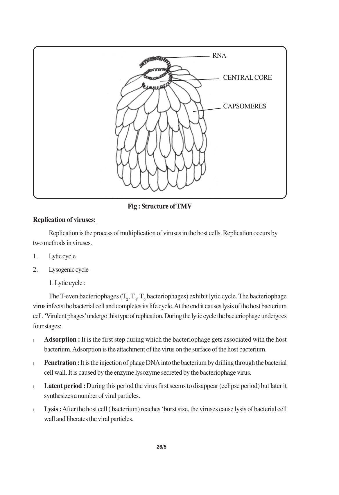 TS SCERT Inter 1st Year Biology Text Book Vol-I Path 1 (English Medium) Text Book - Page 47