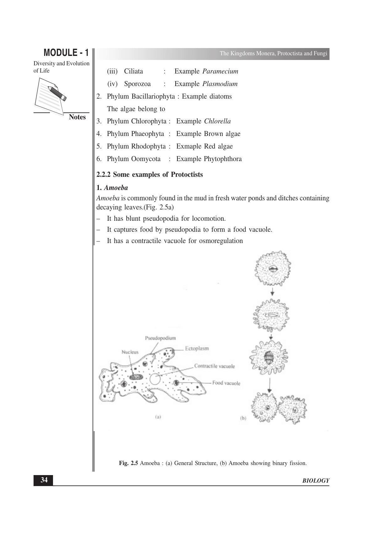 TS SCERT Inter 1st Year Biology Text Book Vol-I Path 1 (English Medium) Text Book - Page 62