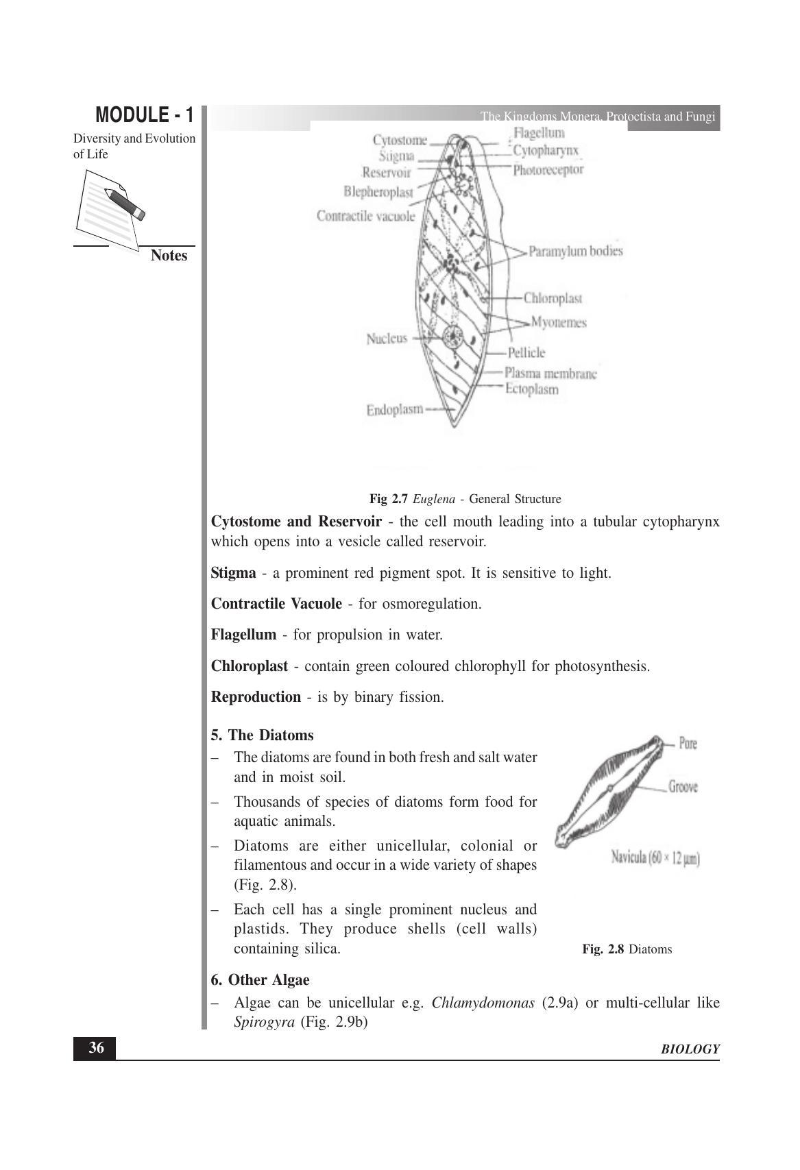 TS SCERT Inter 1st Year Biology Text Book Vol-I Path 1 (English Medium) Text Book - Page 64