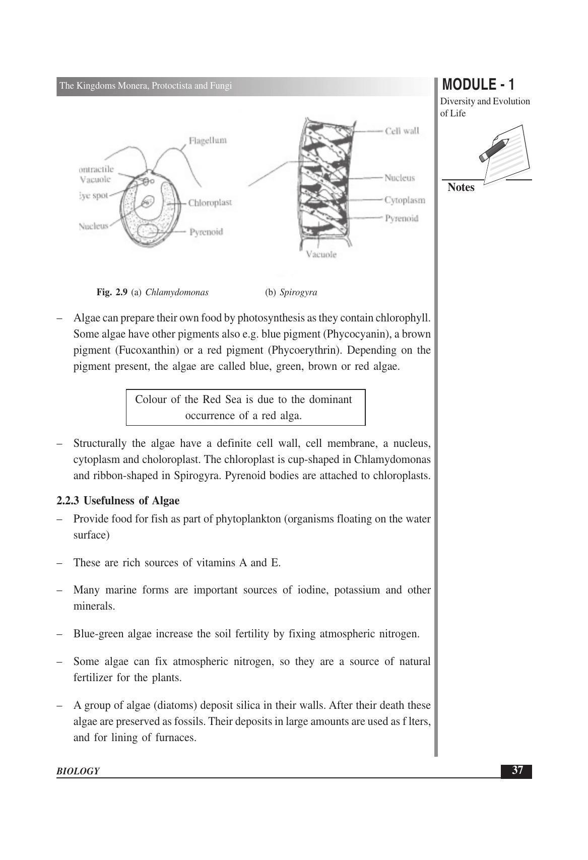 TS SCERT Inter 1st Year Biology Text Book Vol-I Path 1 (English Medium) Text Book - Page 65