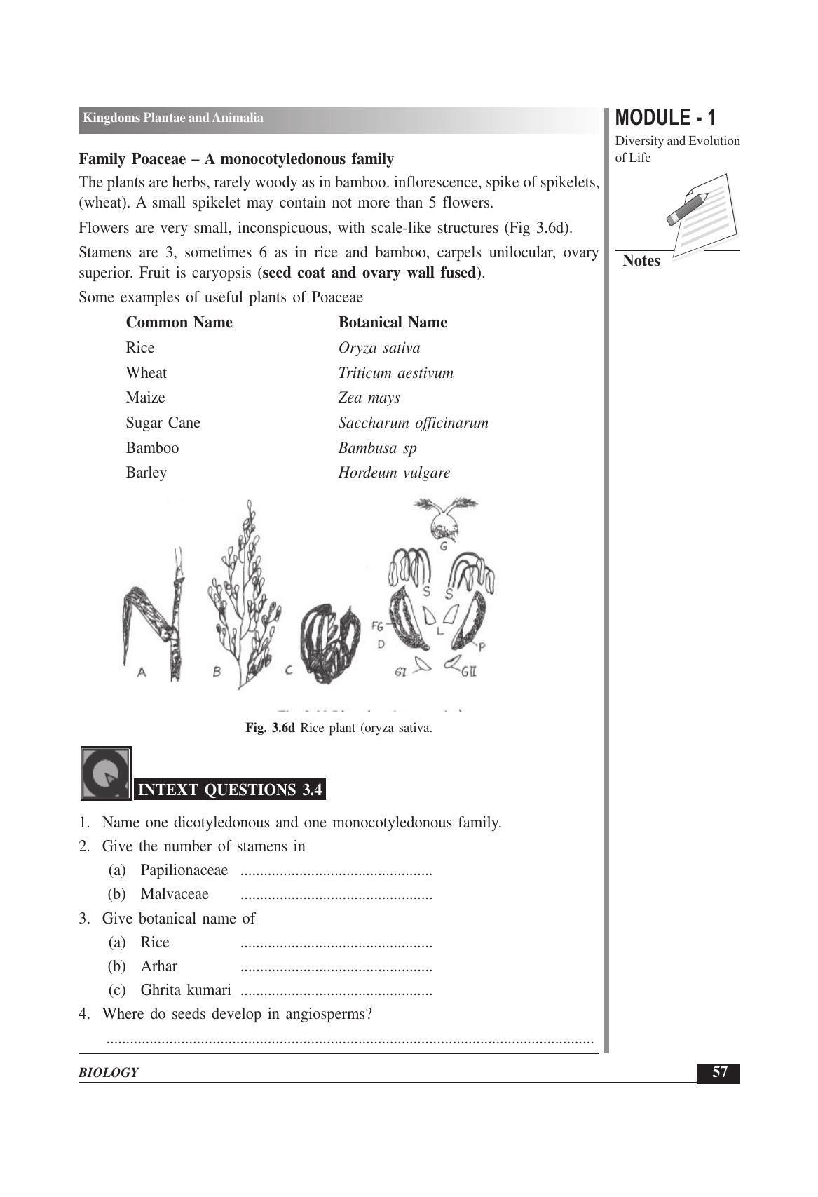 TS SCERT Inter 1st Year Biology Text Book Vol-I Path 1 (English Medium) Text Book - Page 85