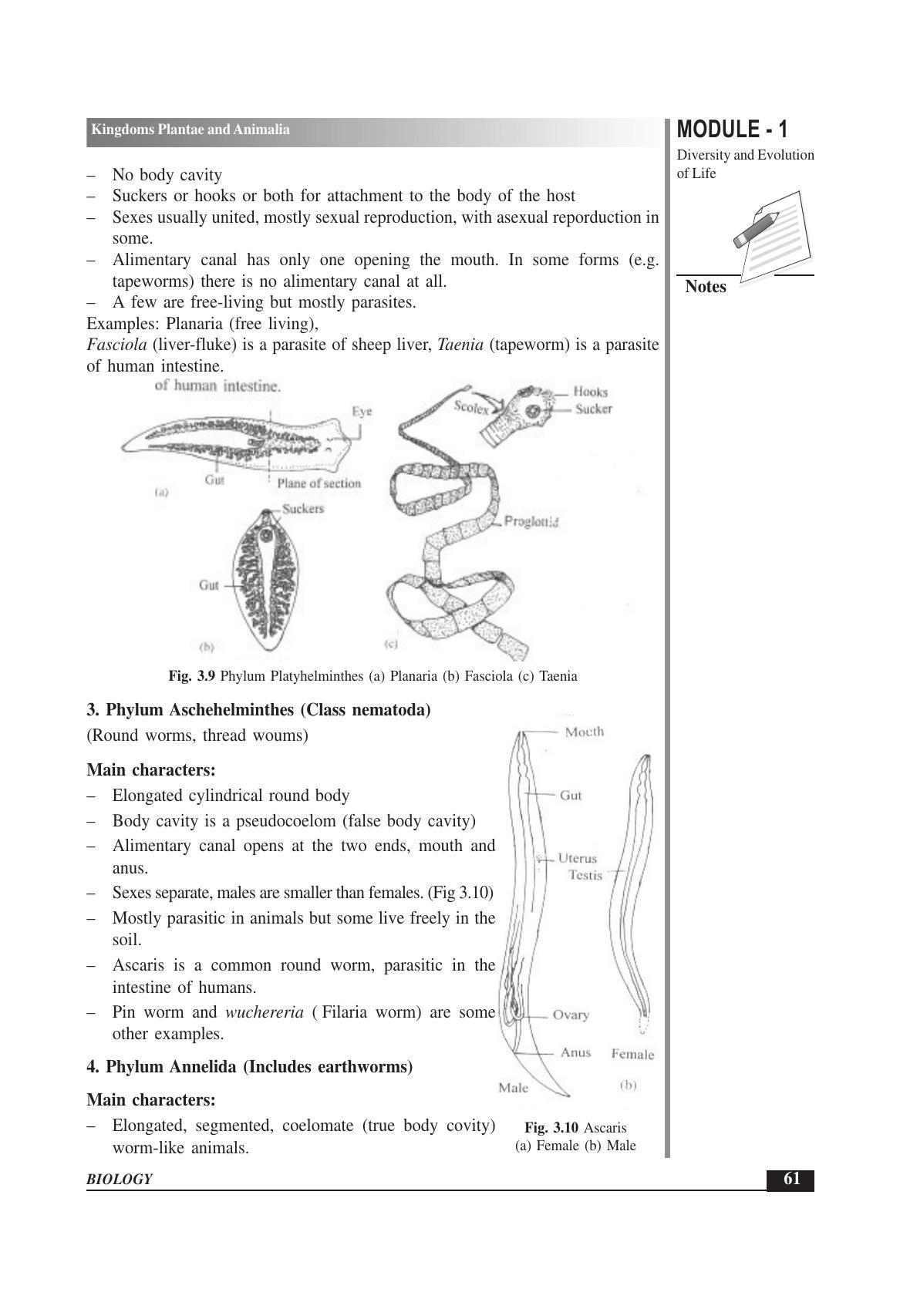 TS SCERT Inter 1st Year Biology Text Book Vol-I Path 1 (English Medium) Text Book - Page 89