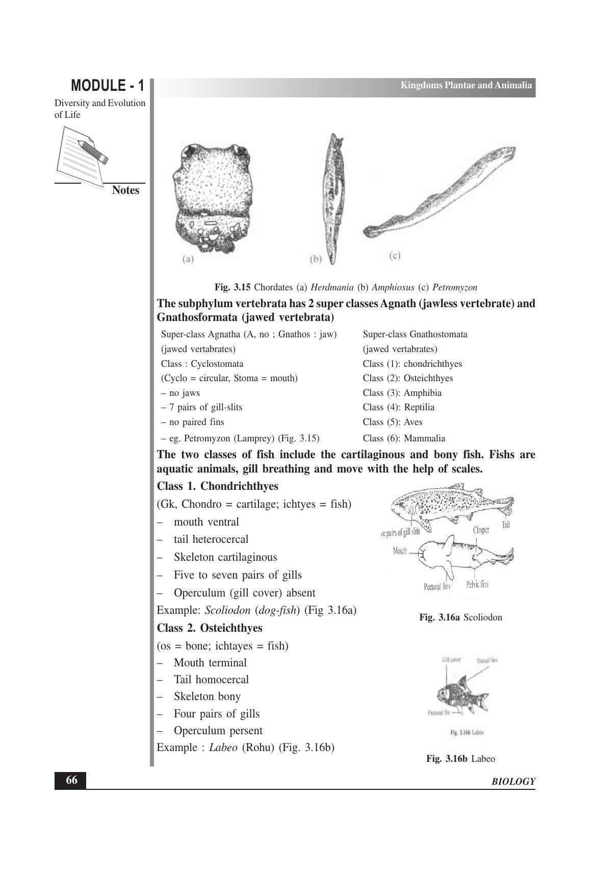 TS SCERT Inter 1st Year Biology Text Book Vol-I Path 1 (English Medium) Text Book - Page 94