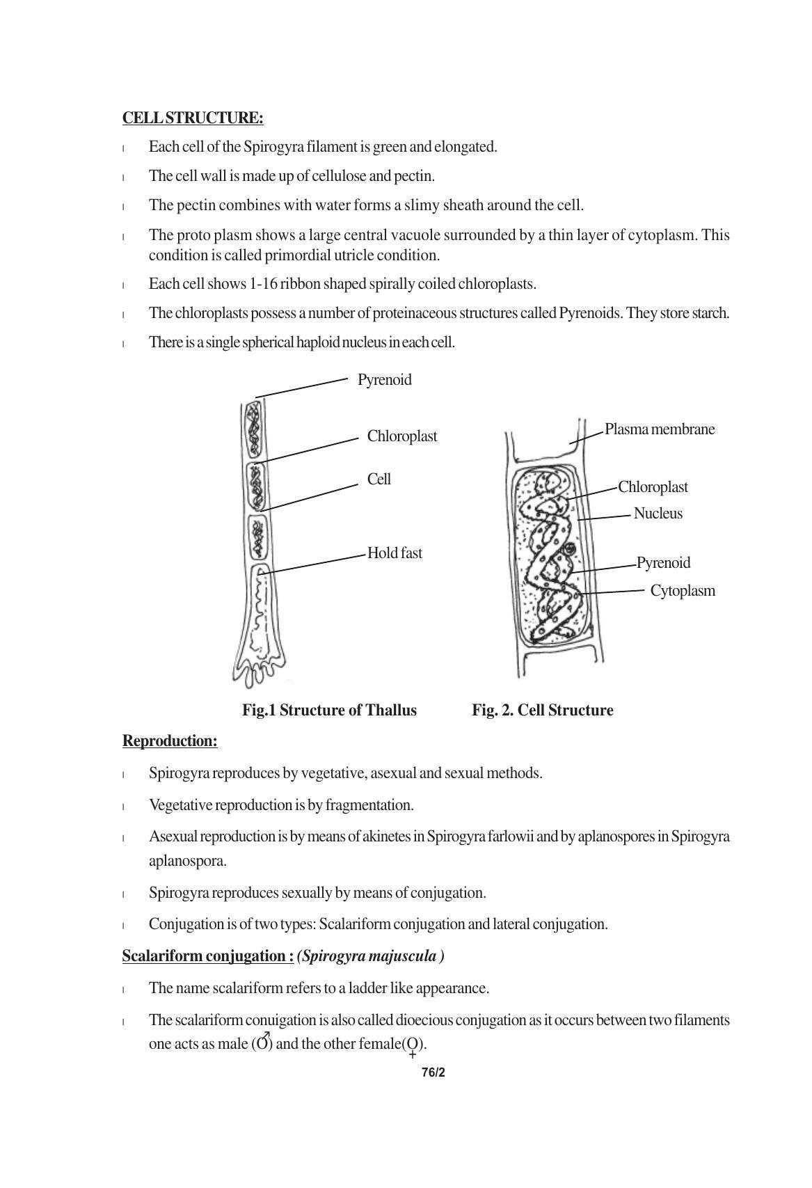 TS SCERT Inter 1st Year Biology Text Book Vol-I Path 1 (English Medium) Text Book - Page 106