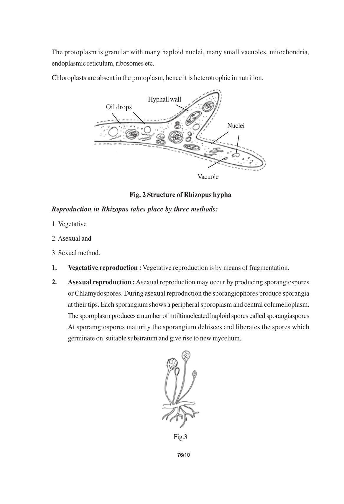 TS SCERT Inter 1st Year Biology Text Book Vol-I Path 1 (English Medium) Text Book - Page 114