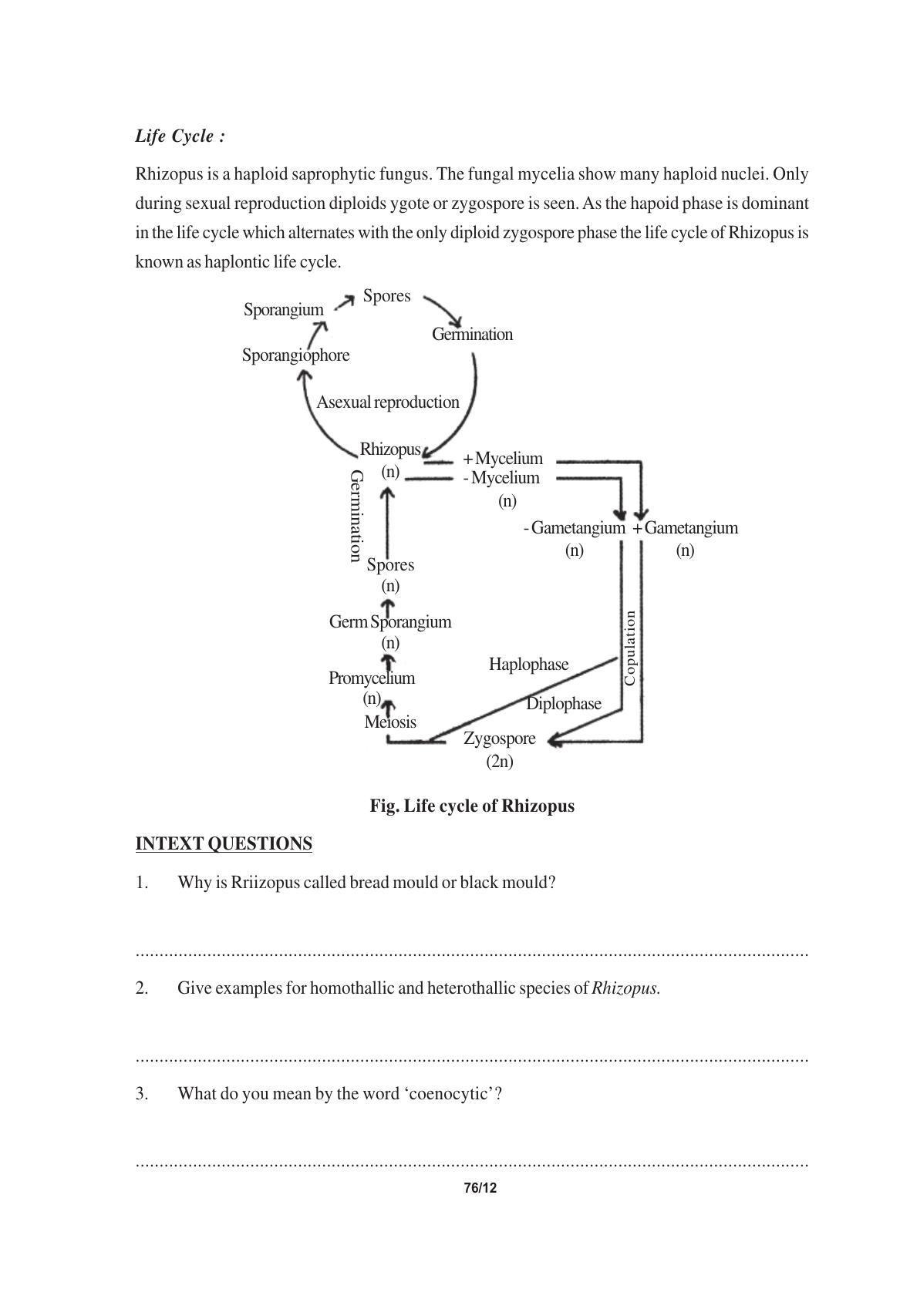 TS SCERT Inter 1st Year Biology Text Book Vol-I Path 1 (English Medium) Text Book - Page 116
