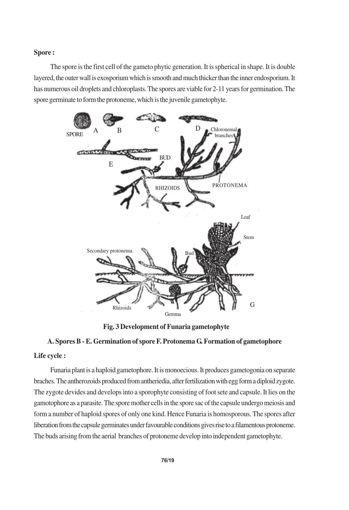 TS SCERT Inter 1st Year Biology Text Book Vol-I Path 1 (English Medium) Text Book - Page 123