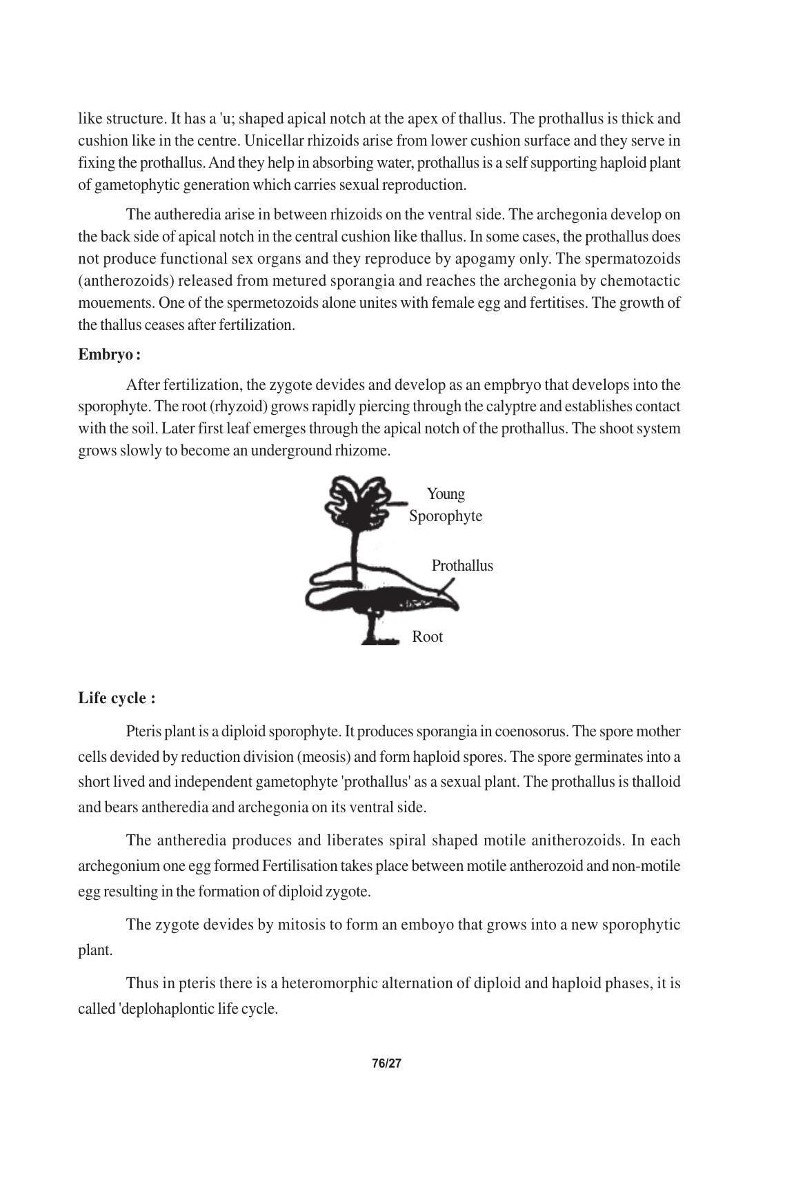 TS SCERT Inter 1st Year Biology Text Book Vol-I Path 1 (English Medium) Text Book - Page 131