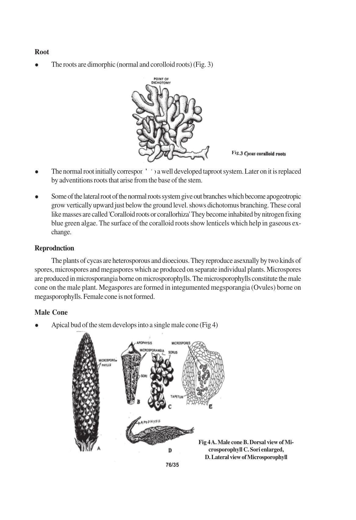 TS SCERT Inter 1st Year Biology Text Book Vol-I Path 1 (English Medium) Text Book - Page 139