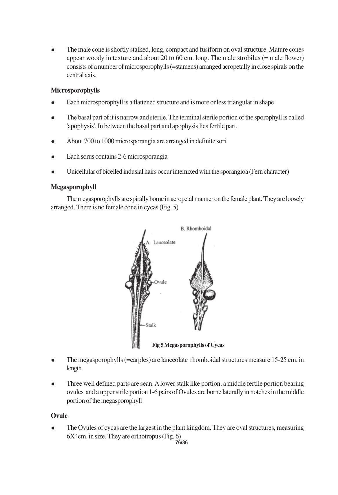 TS SCERT Inter 1st Year Biology Text Book Vol-I Path 1 (English Medium) Text Book - Page 140