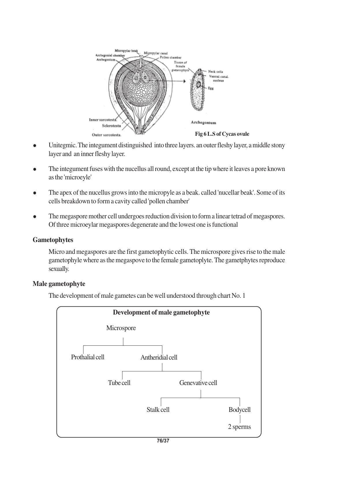 TS SCERT Inter 1st Year Biology Text Book Vol-I Path 1 (English Medium) Text Book - Page 141