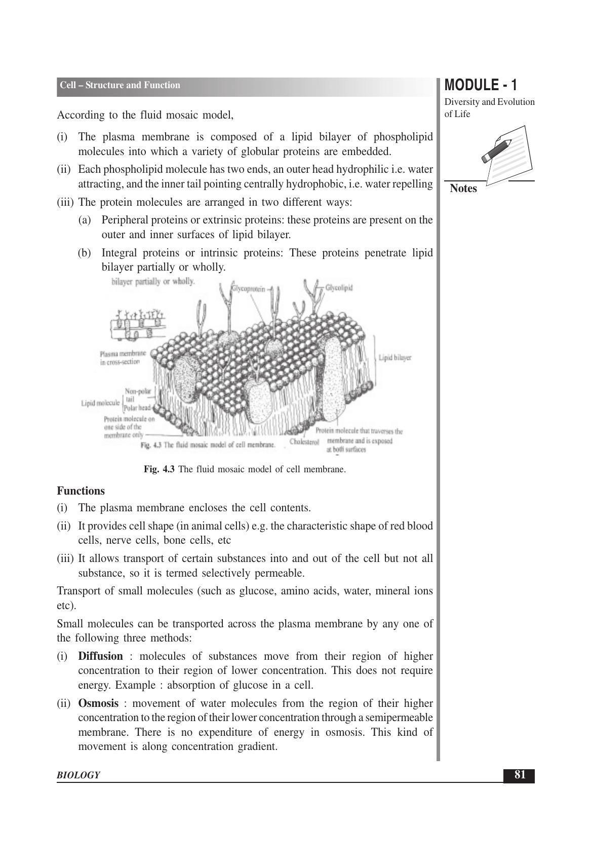 TS SCERT Inter 1st Year Biology Text Book Vol-I Path 1 (English Medium) Text Book - Page 175