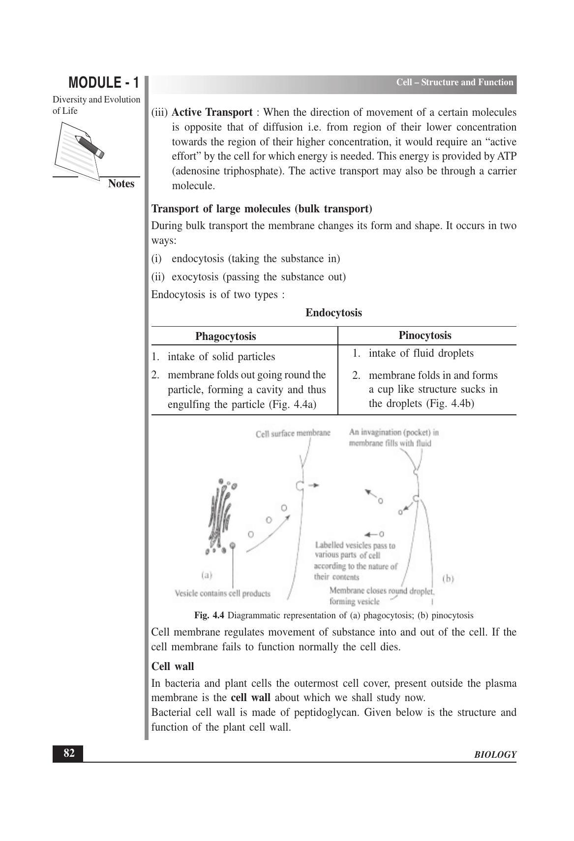 TS SCERT Inter 1st Year Biology Text Book Vol-I Path 1 (English Medium) Text Book - Page 176