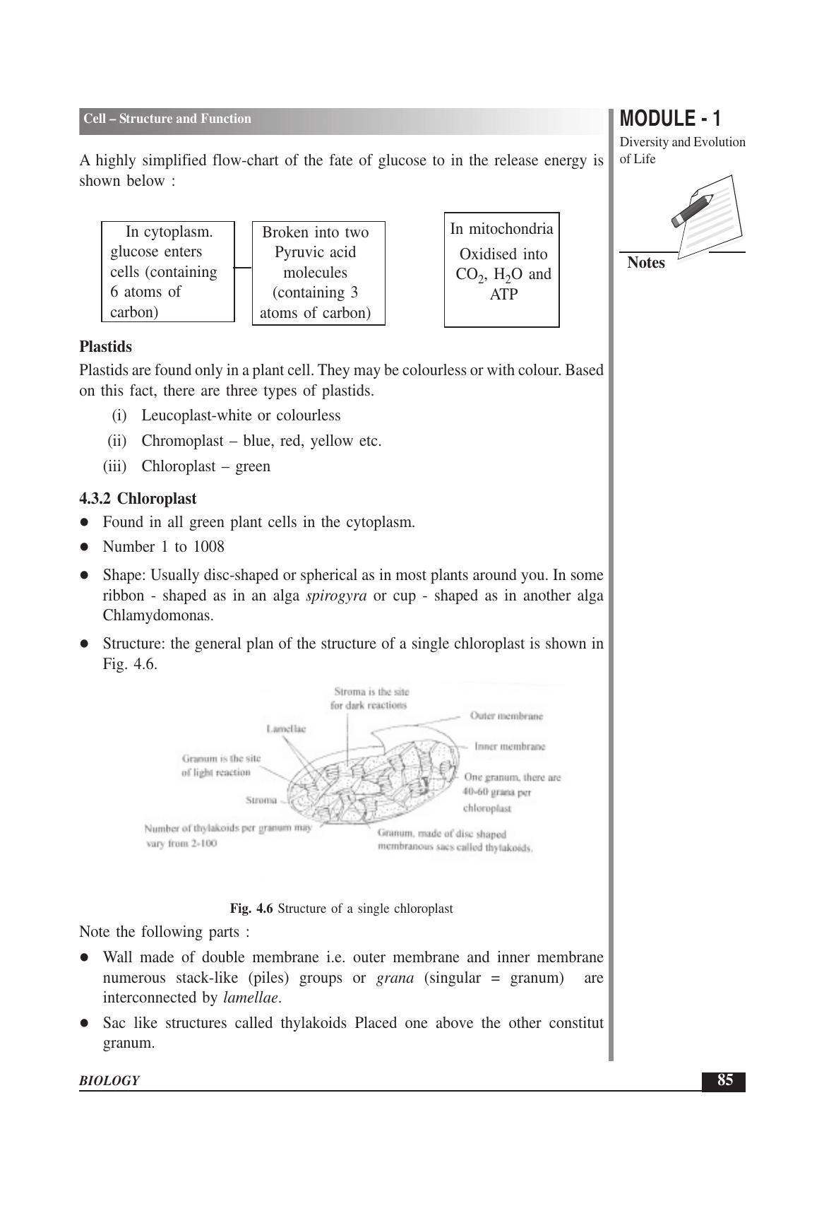 TS SCERT Inter 1st Year Biology Text Book Vol-I Path 1 (English Medium) Text Book - Page 179