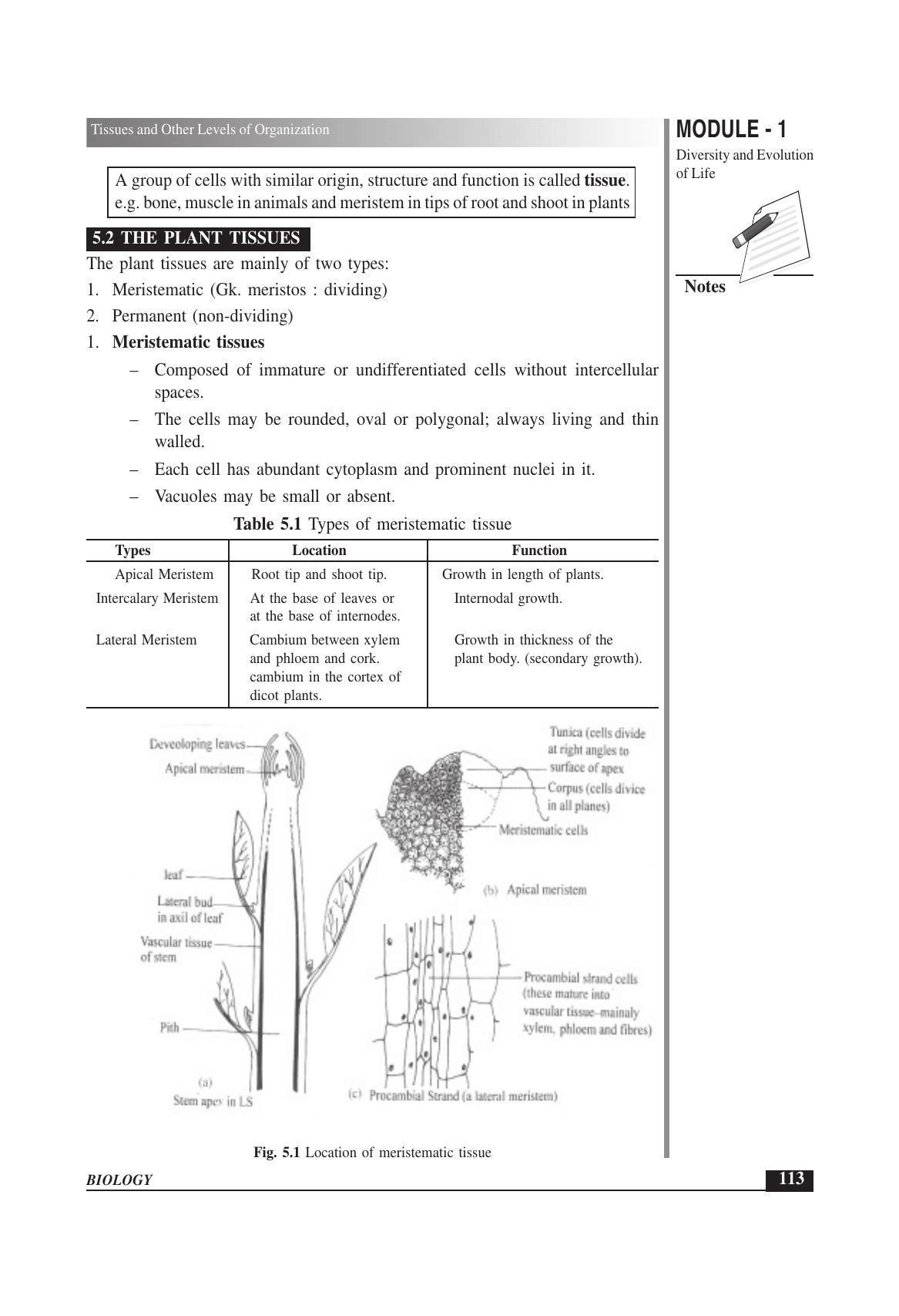 TS SCERT Inter 1st Year Biology Text Book Vol-I Path 1 (English Medium) Text Book - Page 207