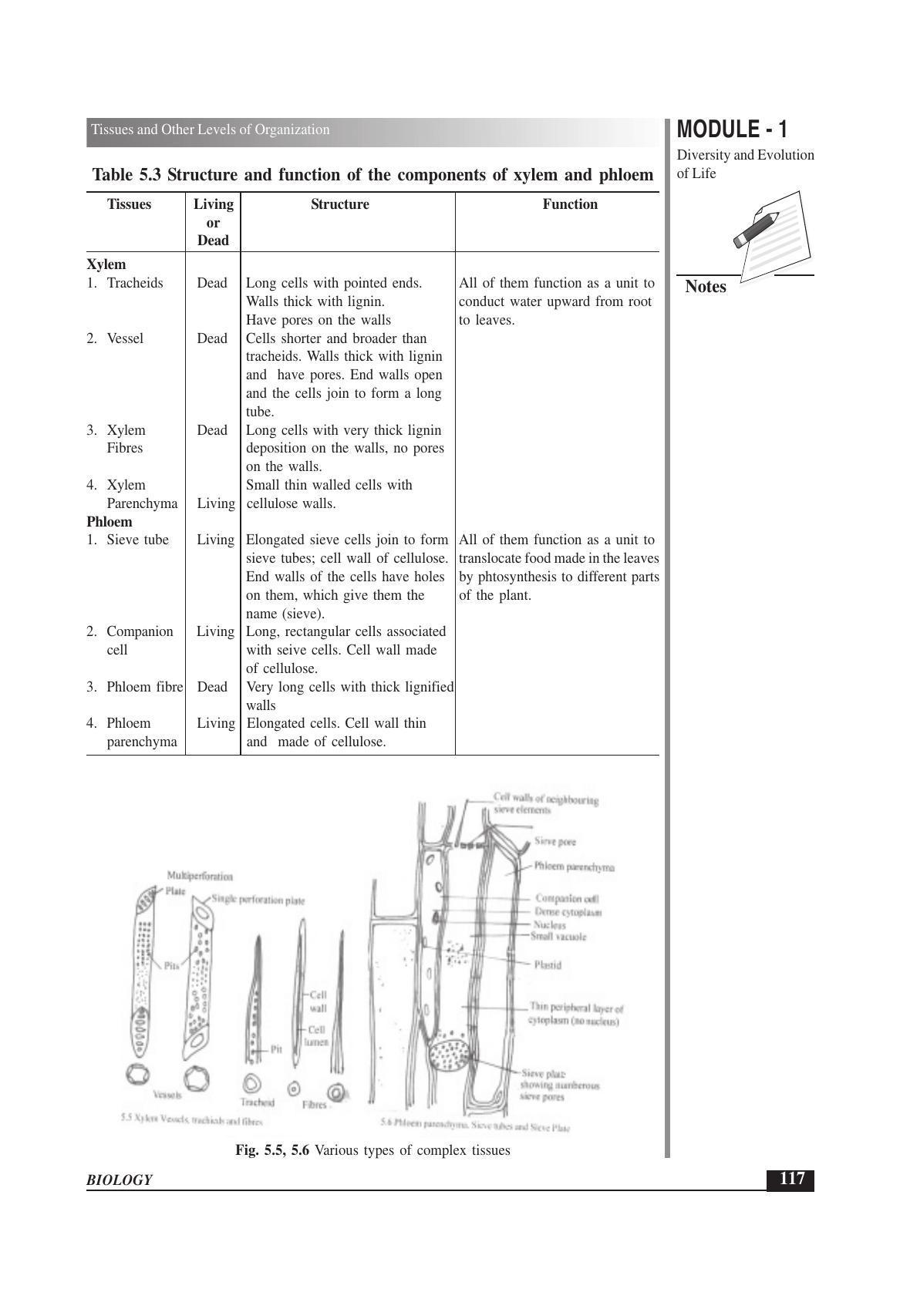TS SCERT Inter 1st Year Biology Text Book Vol-I Path 1 (English Medium) Text Book - Page 211