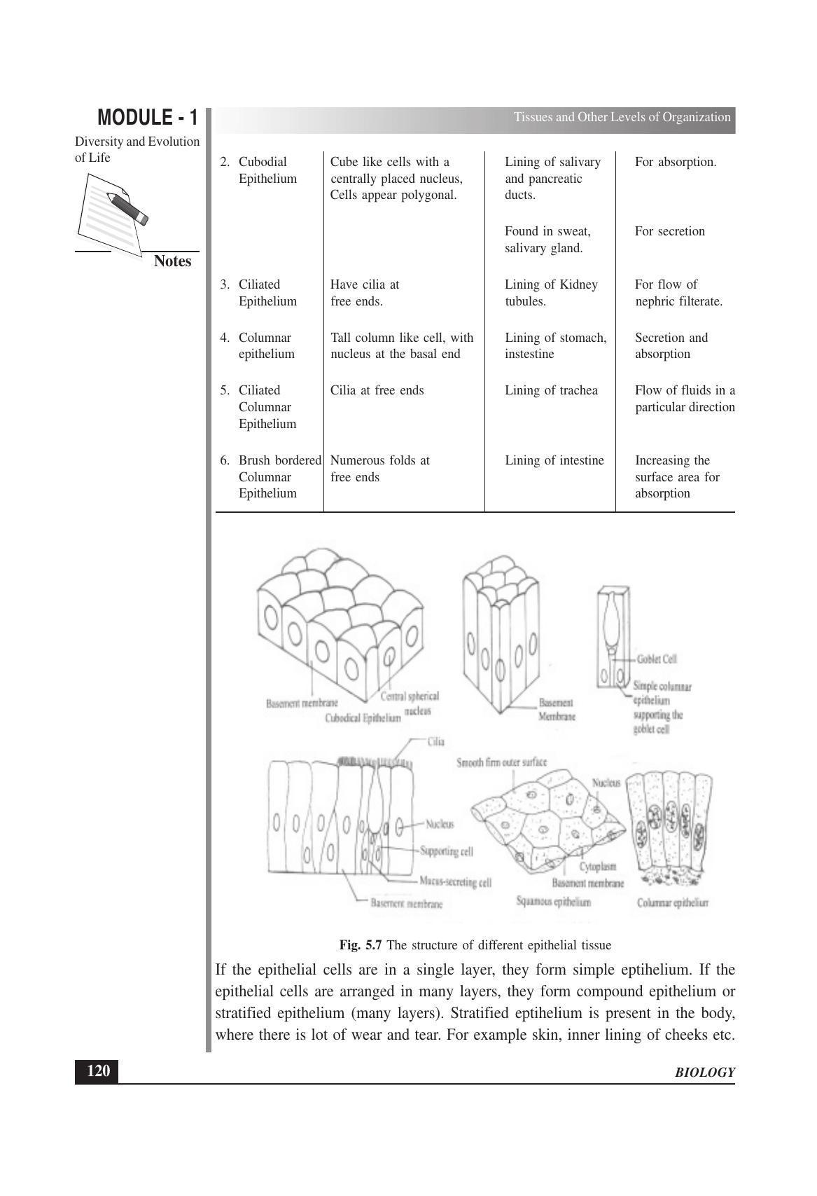 TS SCERT Inter 1st Year Biology Text Book Vol-I Path 1 (English Medium) Text Book - Page 214